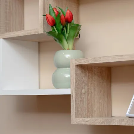 Apartamento Comfortable In By Rent Like *